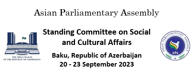  Final Report of APA Standing Committee on Social and Cultural Affairs 2023